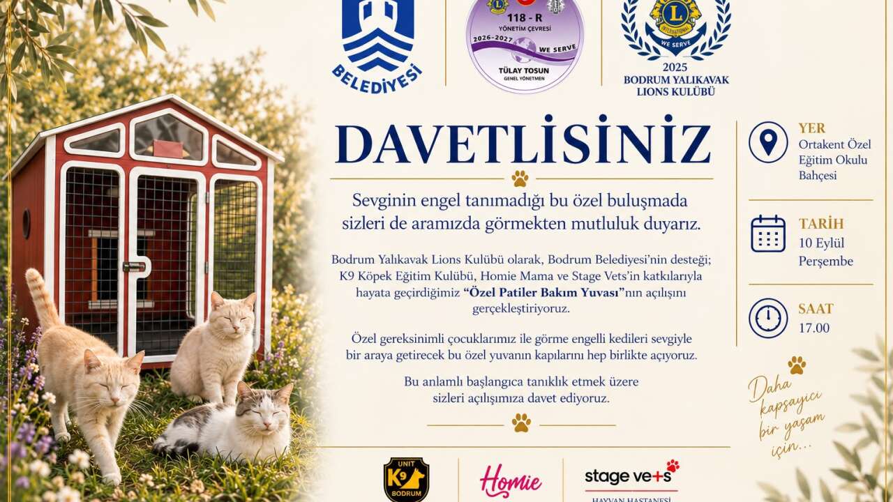 Bodrum'da Örnek Sosyal Sorumluluk Projesi, 5 Görme Engelli Kedi Güvenli Yuvasına Kavuşuyor