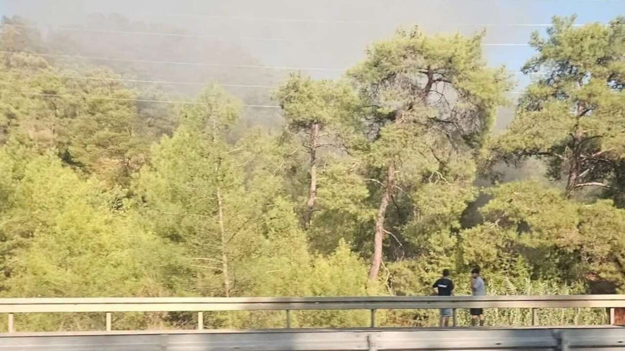 Köyceğiz’de Alevler Ormana Sıçradı: Kontrol Altına Alındı