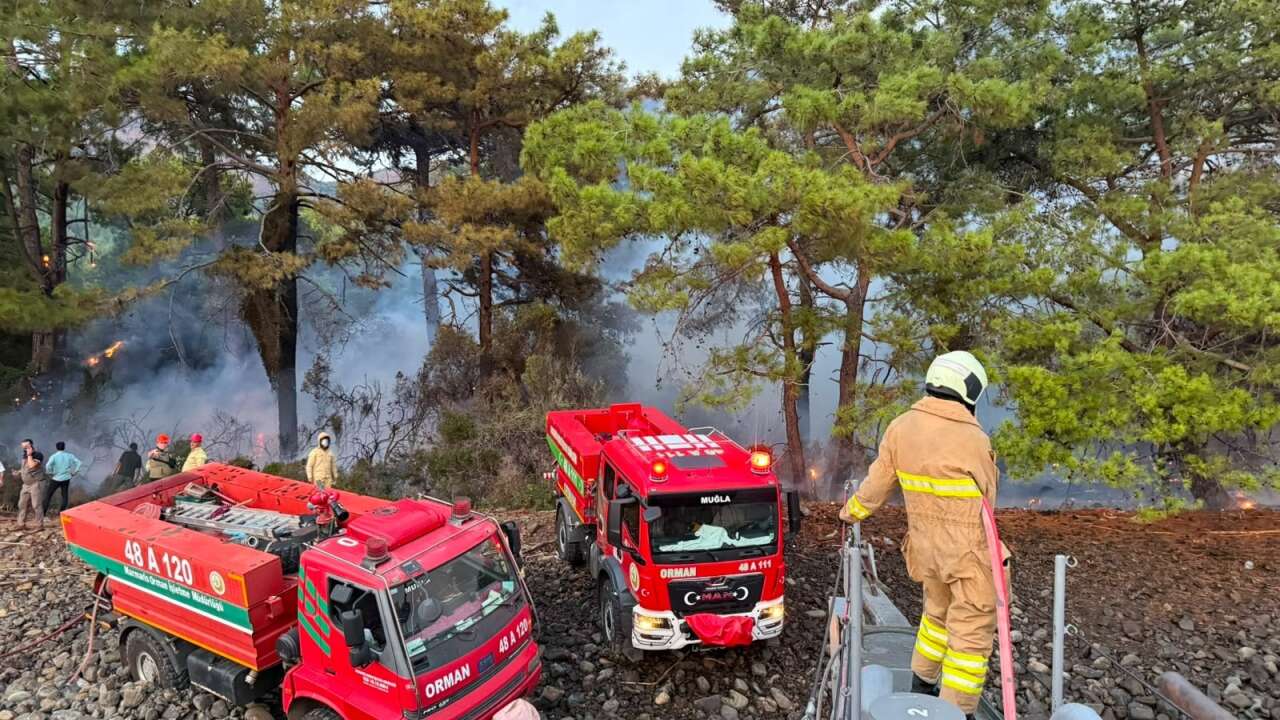 Sonbahar Geldi Ama Muğla'da Yangın Riski Bitmedi, Orman Genel Müdürlüğü Uyardı