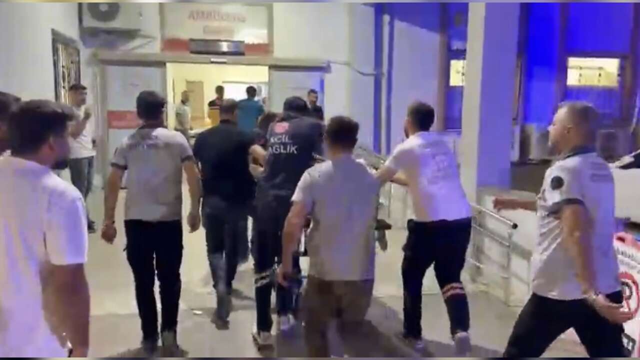 Domuza Ateş Ederken Torununu Vurdu: 14 Yaşındaki Çocuk Hayatını Kaybetti