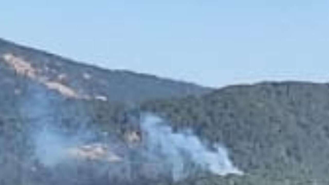 Köyceğiz’de Orman Yangını Başladı