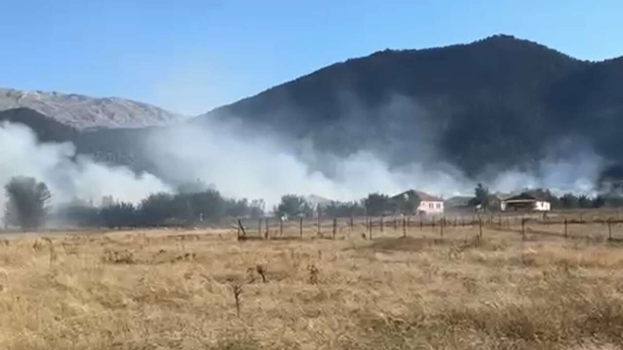Seydikemer’de Yangın: Üzüm Bağları Alevlere Teslim Oldu