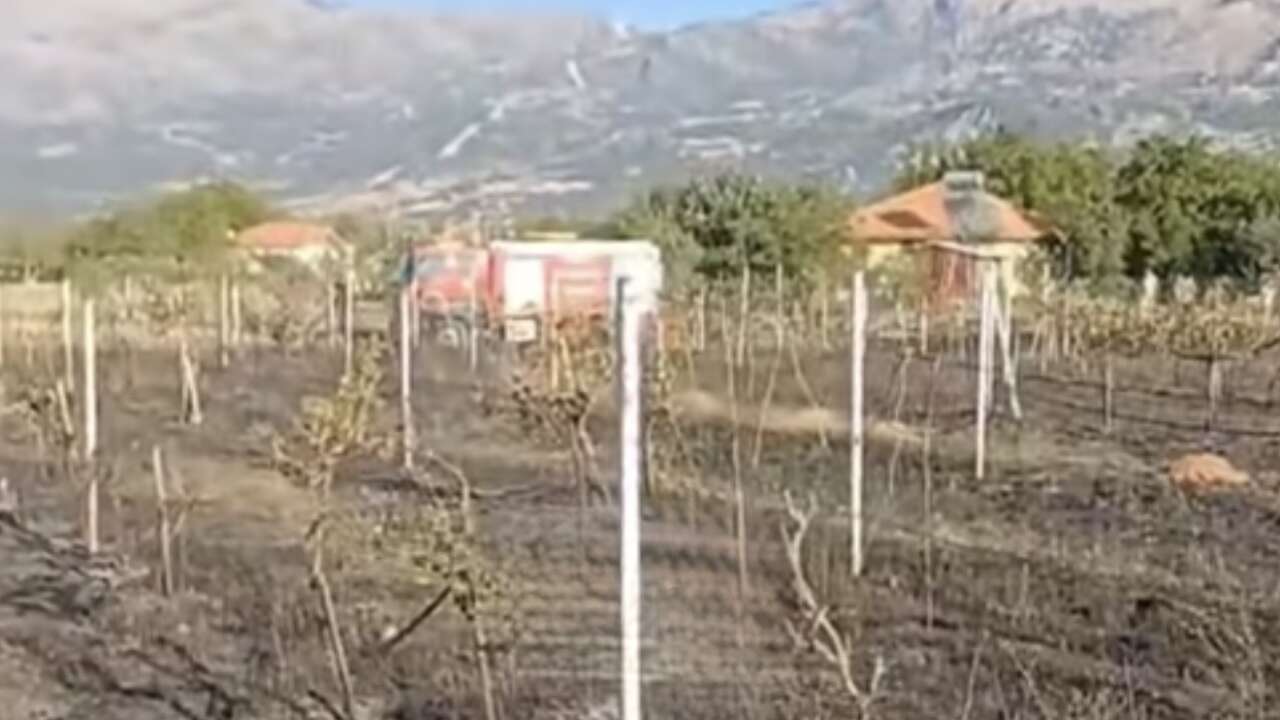 Muğla’da Kontrol Altına Alınan Yangında Üzüm Bağları Ve Bahçeler Zarar Gördü