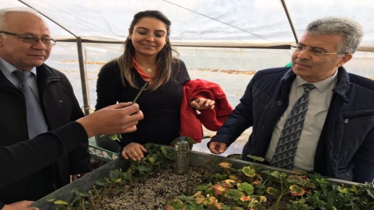 Kendi çiçeklerini yetiştiriyor