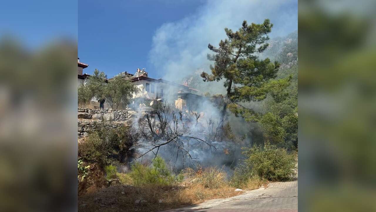 Akyaka’da Zeytinlik Alanda Yangın
