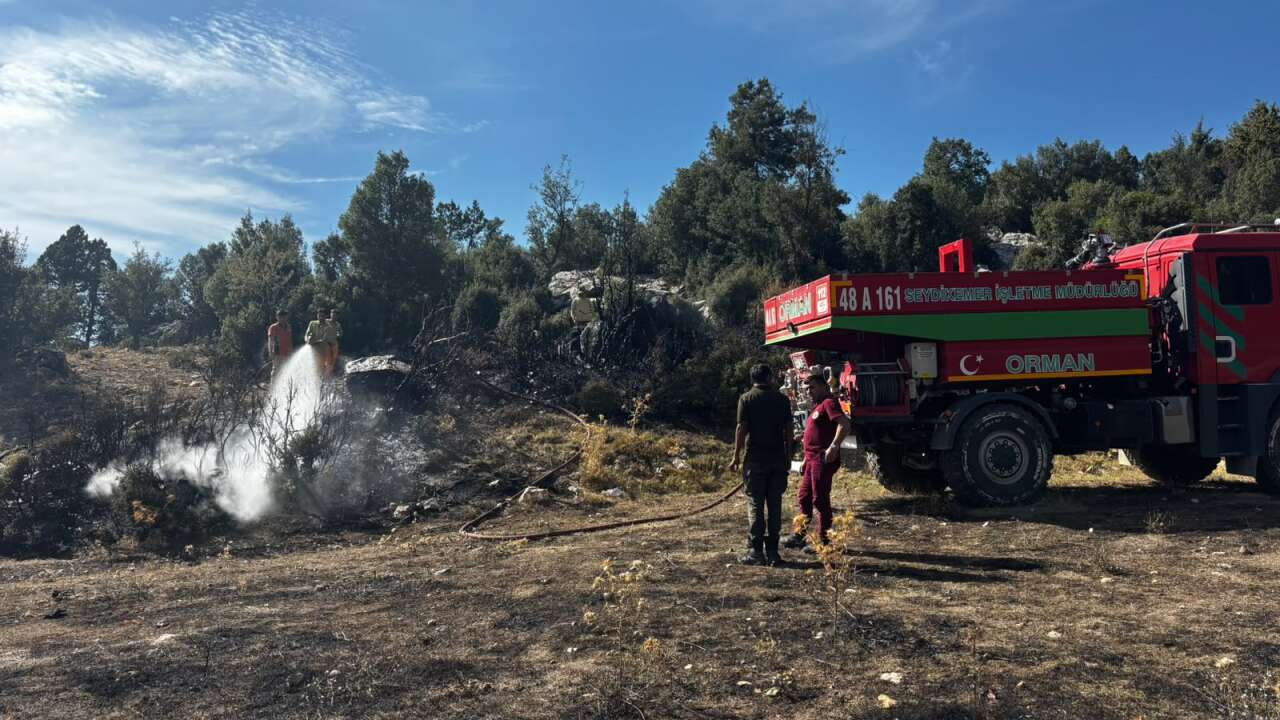 Muğla'da Zirai Arazide Yangın Çıktı