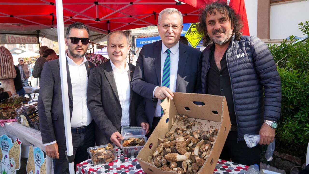 Fethiye Kuzugöbeği Mantarı Coğrafi İşaretle Tescillendi