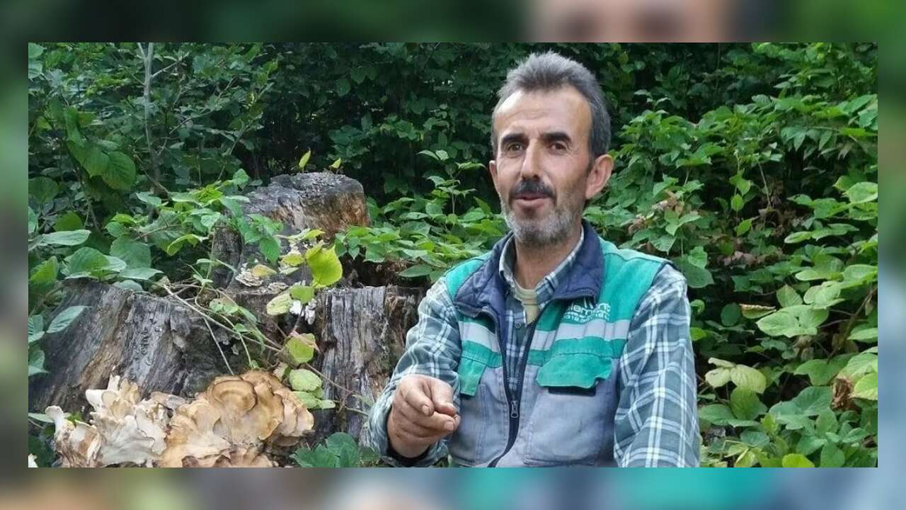 Orman İşçisi Kazada Hayatını Kaybetti