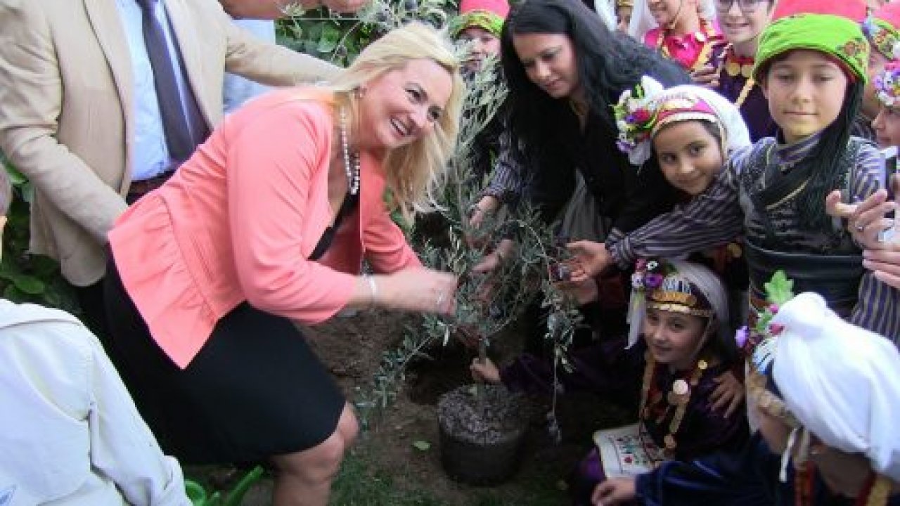 Avrupa’dan gelen öğrenciler zeytin hasadı yaptı