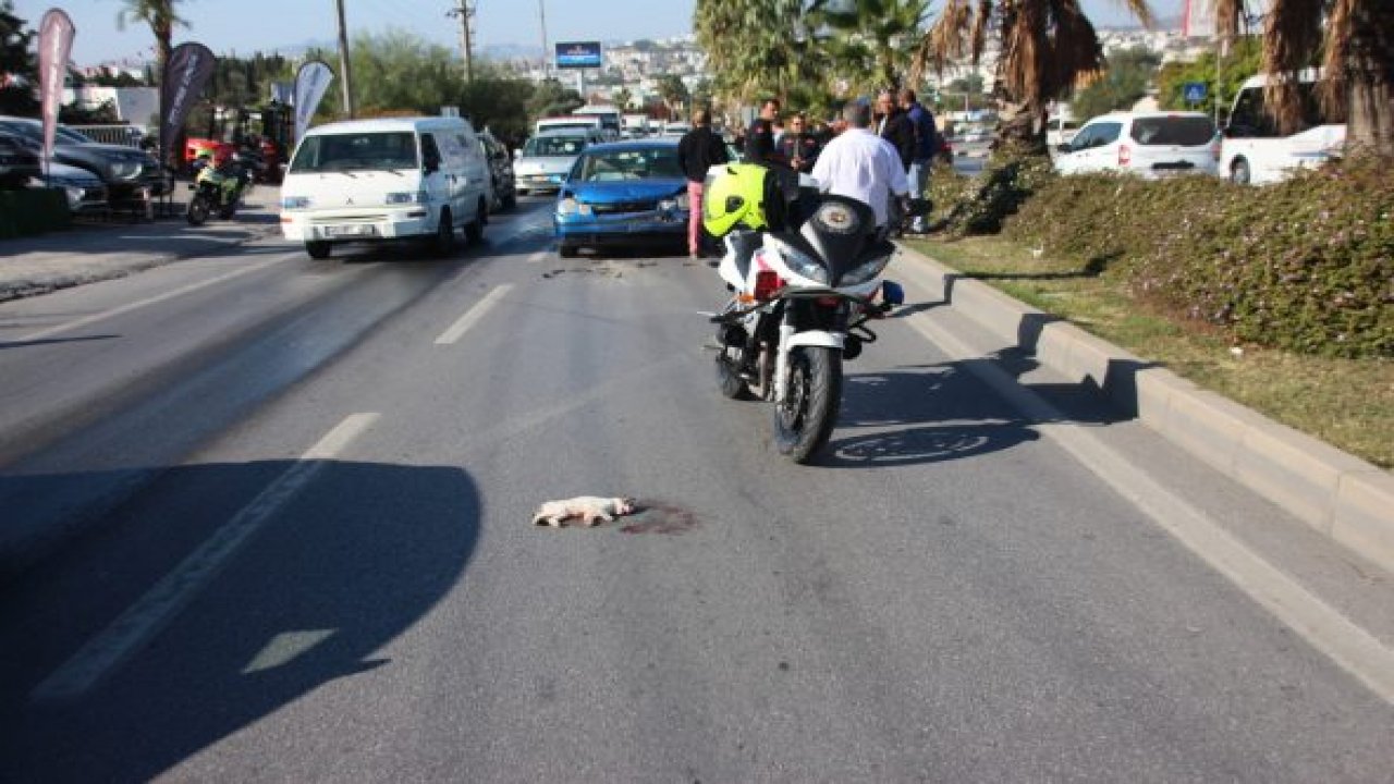 6 araç birbirine girdi