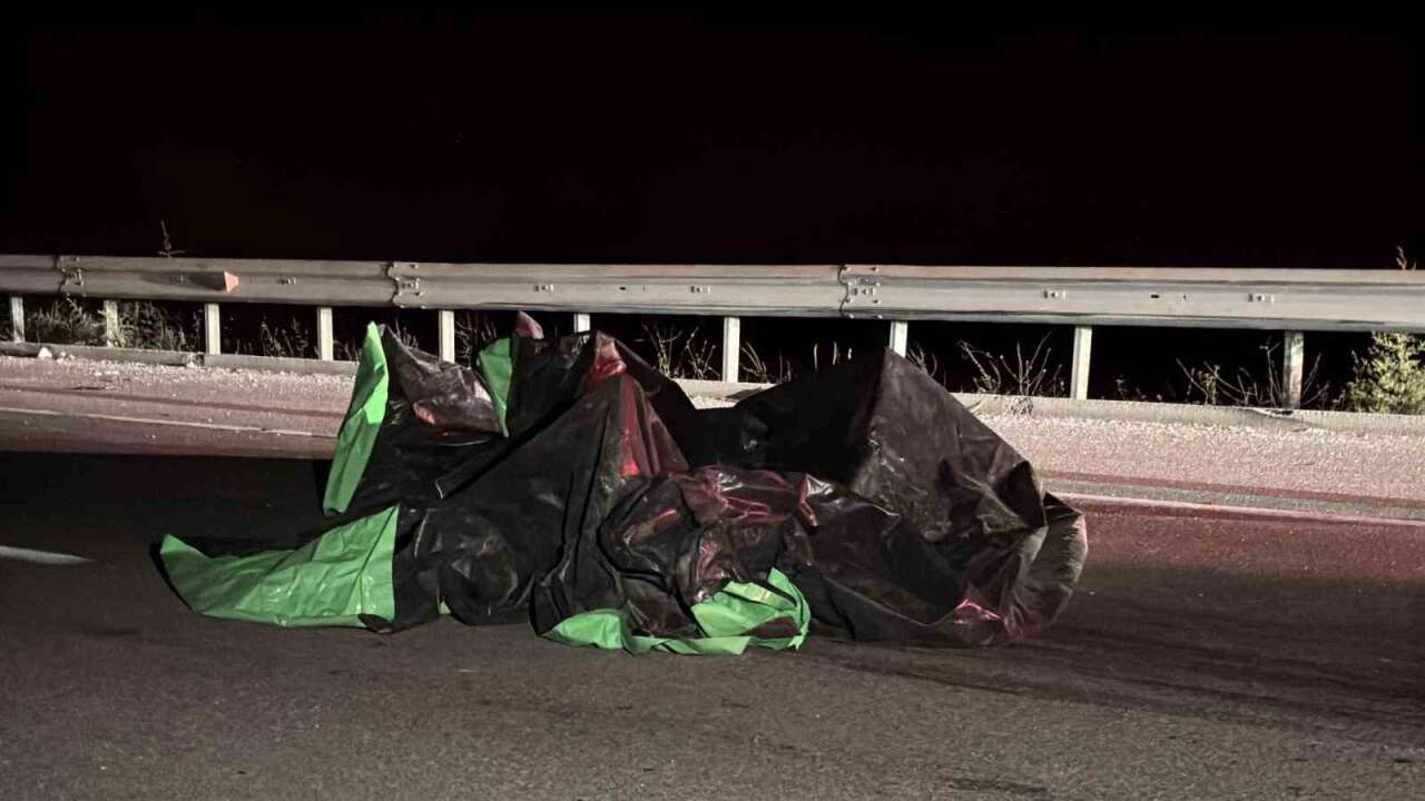 Yolun Karşısına Geçerken Hayatını Kaybetti, Sürücü Aranıyor