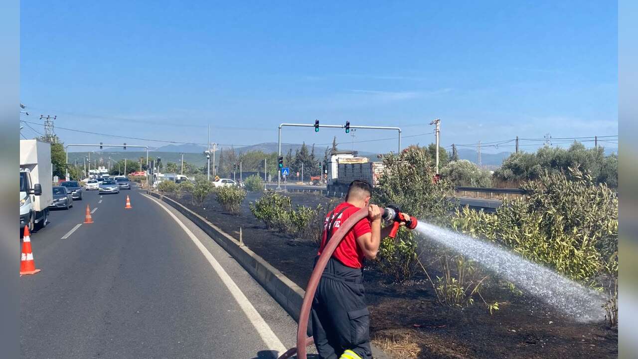Bodrum-Milas Yolunda Yangın