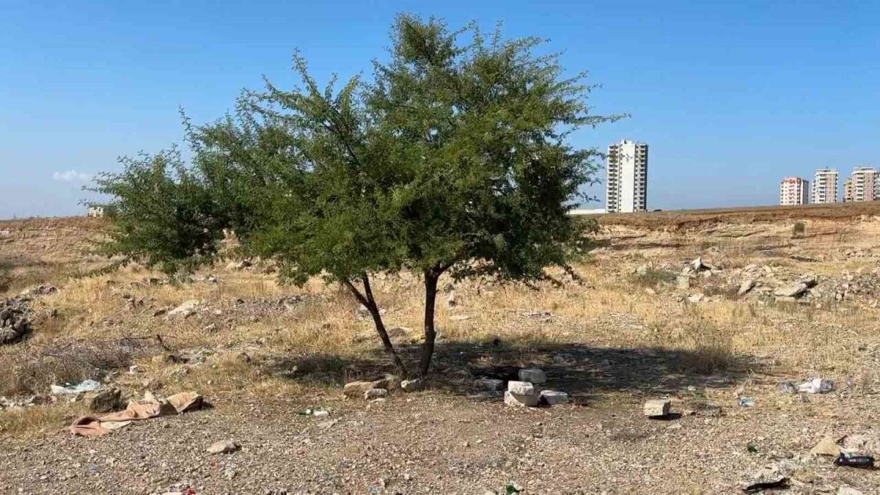 35 Yaşındaki E. C. Boş Arazide Ölü Bulundu