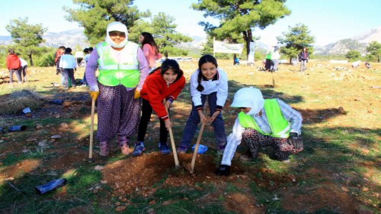 Fidanlar, fidanlarla büyüyecek