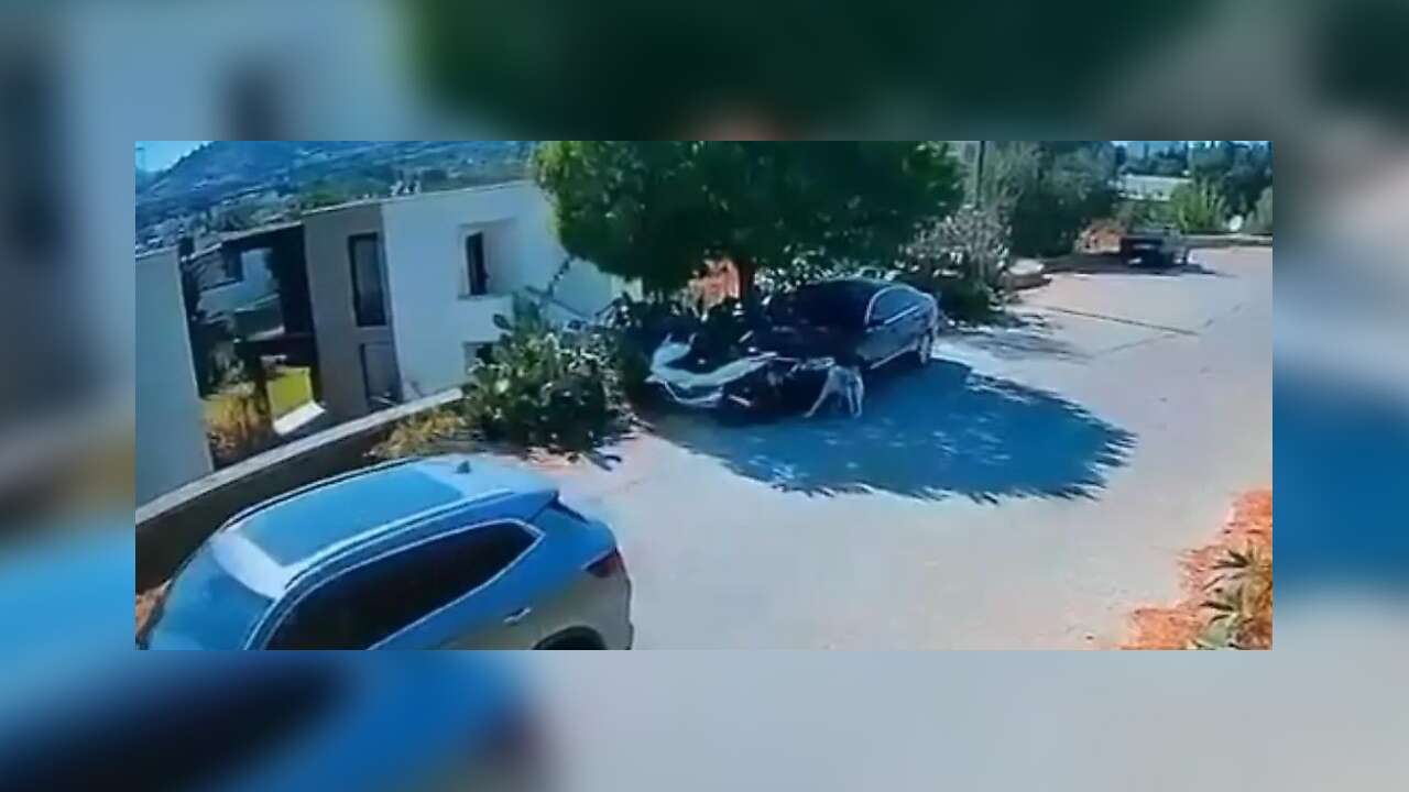 Muğla’da Köpeklerin Üzerinden Geçen Sürücü Tespit Edildi
