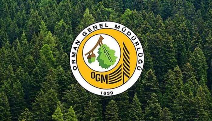 Orman Genel Müdürlüğü’nden Yeni Personel Alımı İlanı