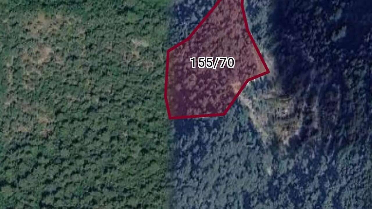 Bodrum'da Mahkemeden Satılık Zeytinlik, 33 Milyon TL'ye  Satışa Çıkarıldı