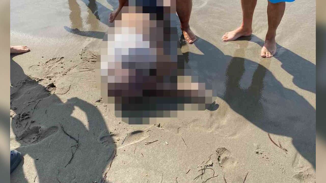 Müteahhitlik Yapan İş İnsanının Cansız Bedeni Sahilde Bulundu