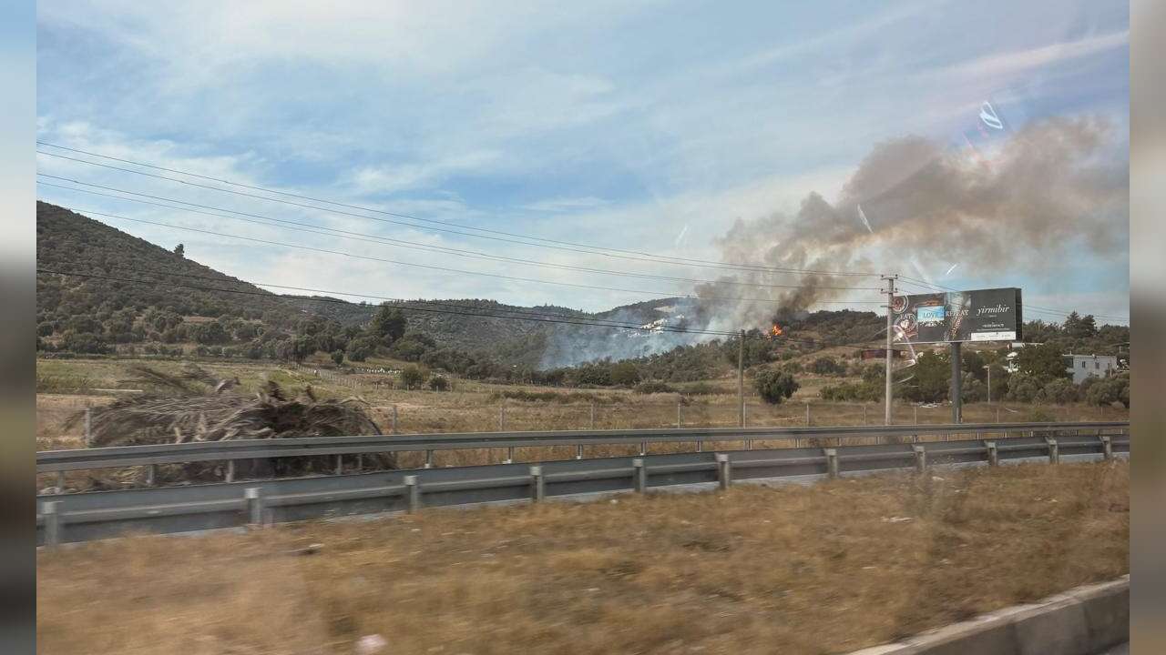Bodrum-Milas Yolunda Zeytinlik Alanda Yangın, Ekipler Bölgeye Sevk Edildi