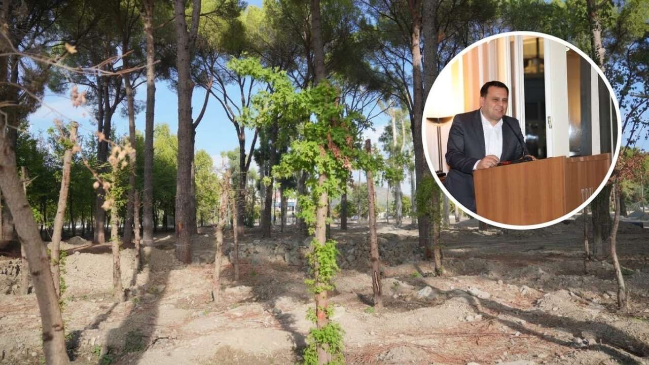 Dalaman Kent Park’ta Ağaç Kesme  ve Betonlaşma İddialarına Başkan Durmuş’tan Yanıt