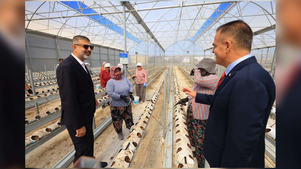 Vali Akbıyık, Milas’taki Entegre Tarım ve Gıda Tesisini İnceledi