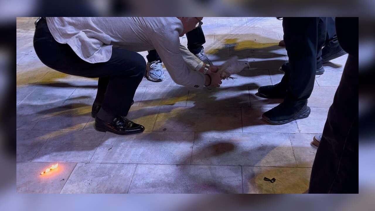 Şenlikte Ateş Yanarken Barış Güvercini Son Anda Kurtarıldı