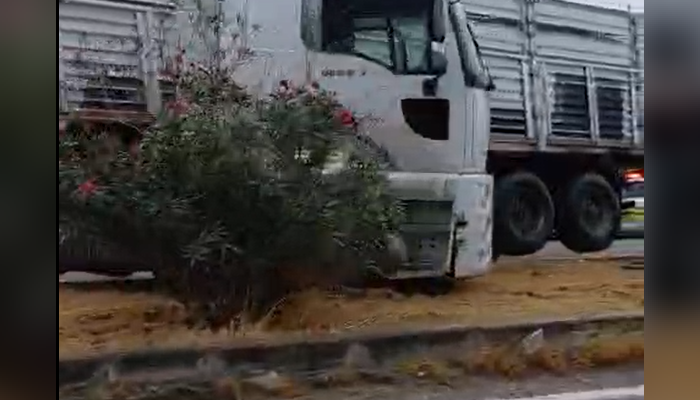 Muğla’da TIR Refüje Savruldu