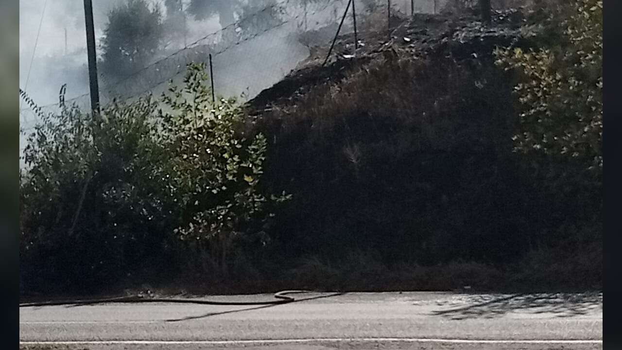 Milas'ta Otluk Alanda Yangın Paniği, Ekipler Alevlerin Yola Ulaşmasına Engel Oldu
