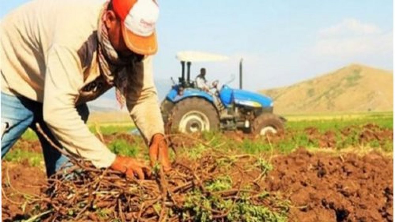 Çatak Projesi'yle çiftçilere destek veriliyor
