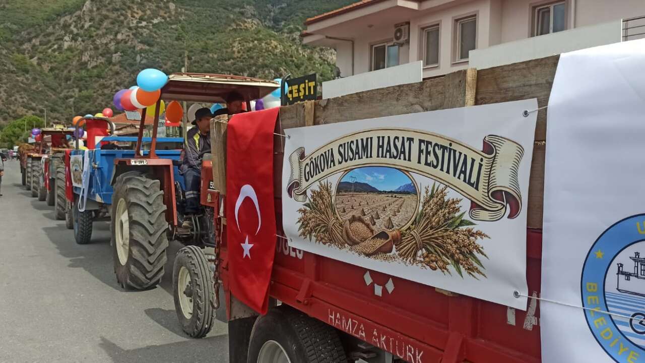 Gökova’nın Coğrafi İşaretli Susamında Hasat Festivali Başladı