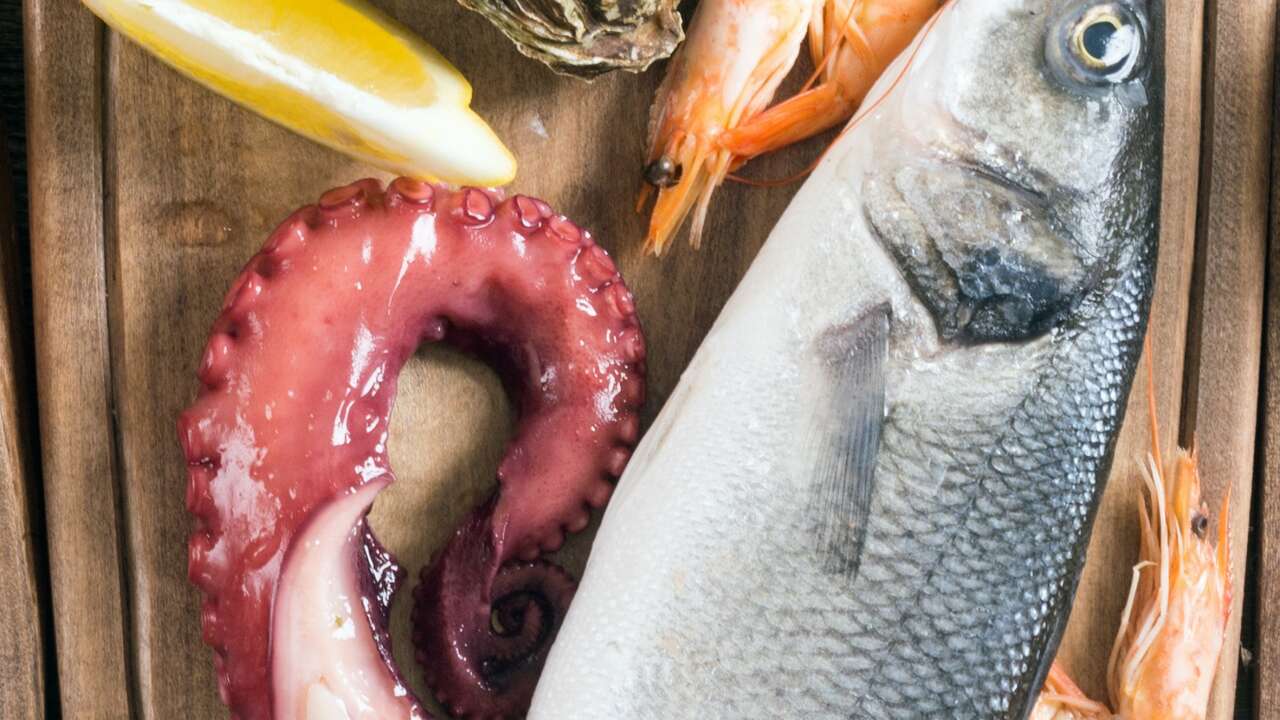 Muğla’dan İhracatta Güçlü Performans: 145 Milyon Dolara Ulaştı