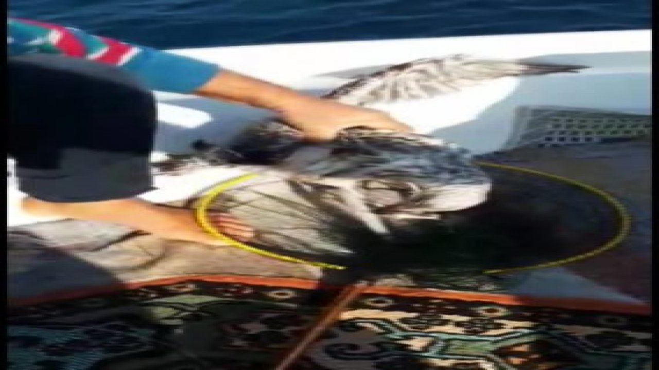 Ava giderken av oluyordu