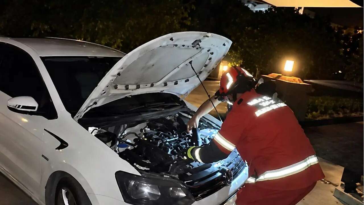 Muğla'da Motor Bölümünde Sıkışan Kedi İçin Seferber Oldular