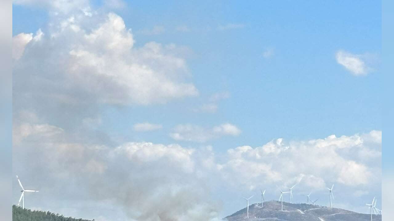 Bodrum’da Makilik Alanda Yangın: Ekipler Sevk Edildi