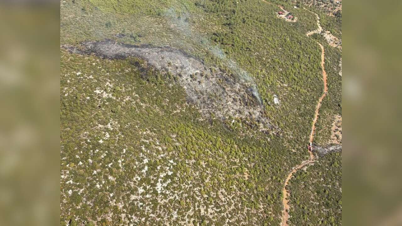 Bodrum’da Makilik Alanda Başlayan Yangın Kontrol Altına Alındı