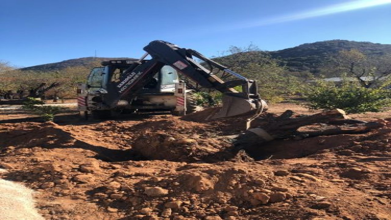 Diktiği zeytin altında kalan yaşlı adam kurtarılmadı