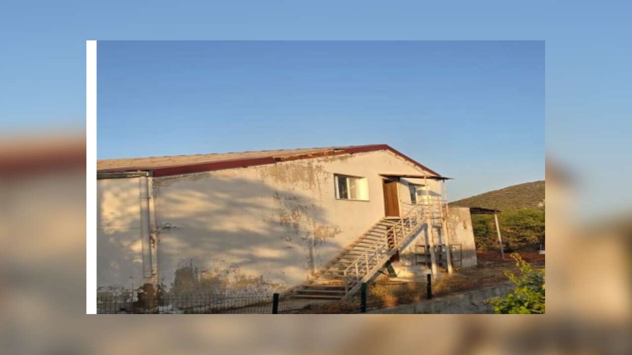 Datça’da Zeytinyağı Üretimine 54 Milyon TL’lik Yatırım