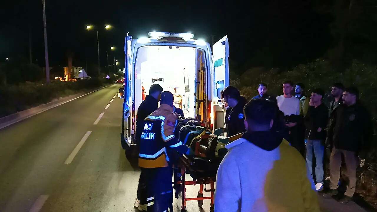 Muğla'da Yola Çıkan Domuz Kazaya Neden Oldu