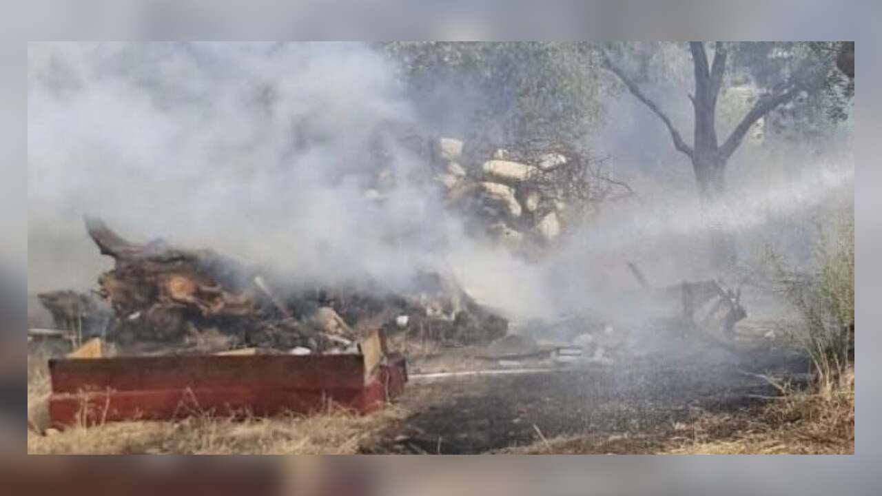 Muğla’da Temizlik Ateşi Zeytinliği Vurdu: Çok Sayıda Ağaç Yandı