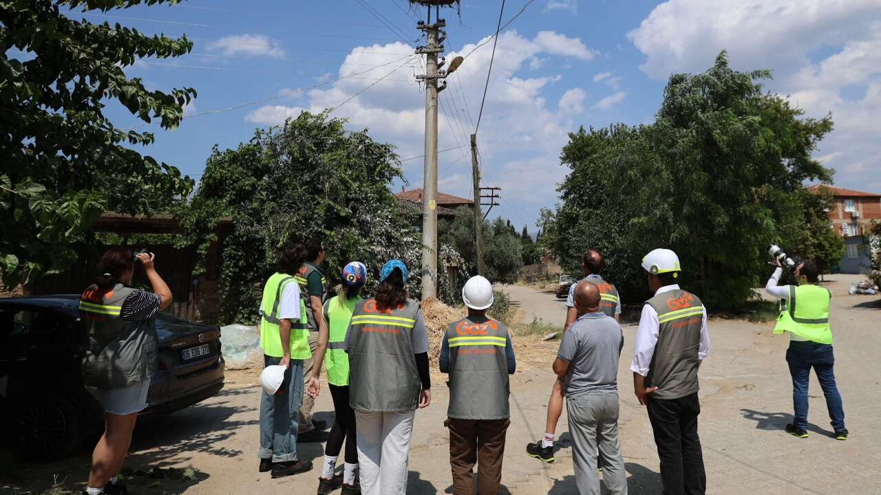 Muğla'da Göçmen Kuşlara Güvenli Gökyüzü