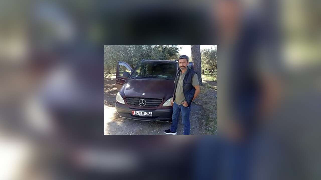 Zeytin Hasadı İçin Gittiği Bahçede Arı Soktu: 54 Yaşındaki Adam Hayatını Kaybetti