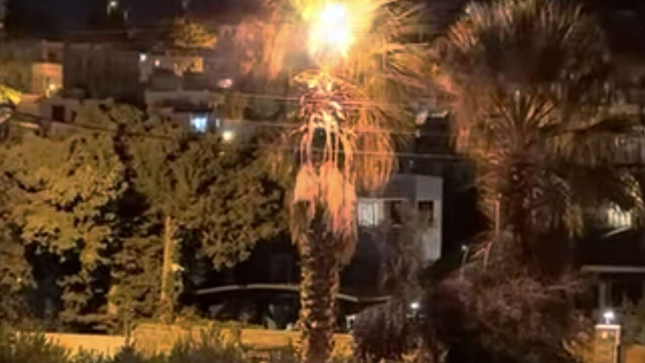 Muğla’da Palmiye Ağacı Bir Anda Alev Aldı: Ekipler Harekete Geçti