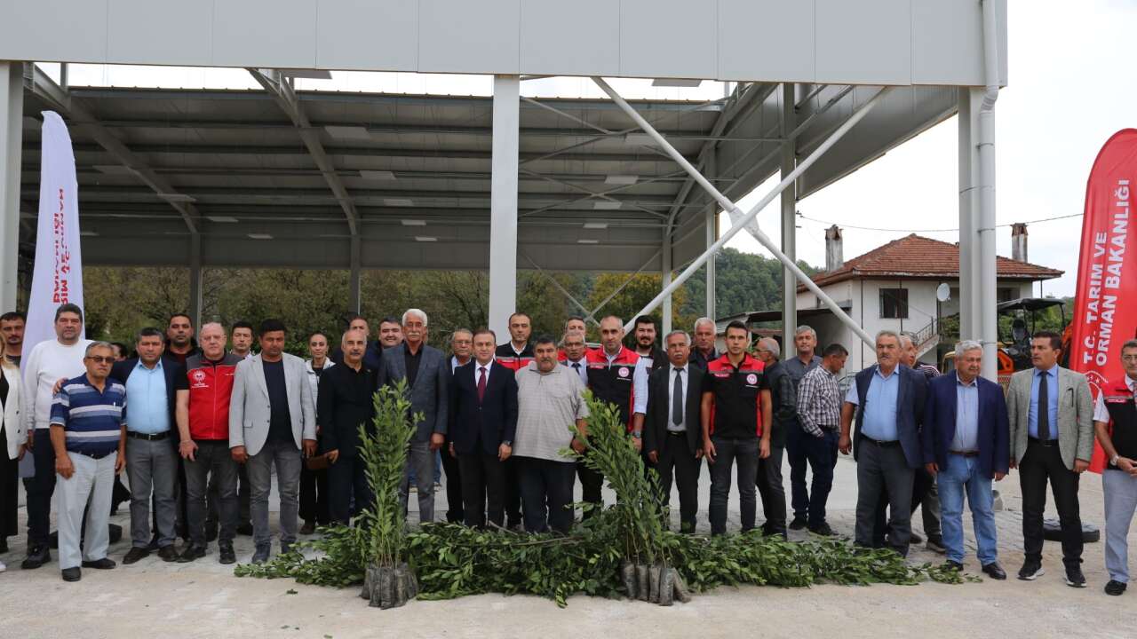 Ula’da Kadın Üreticilere Yüzde 75 Hibeli Defne Fidanı Desteği