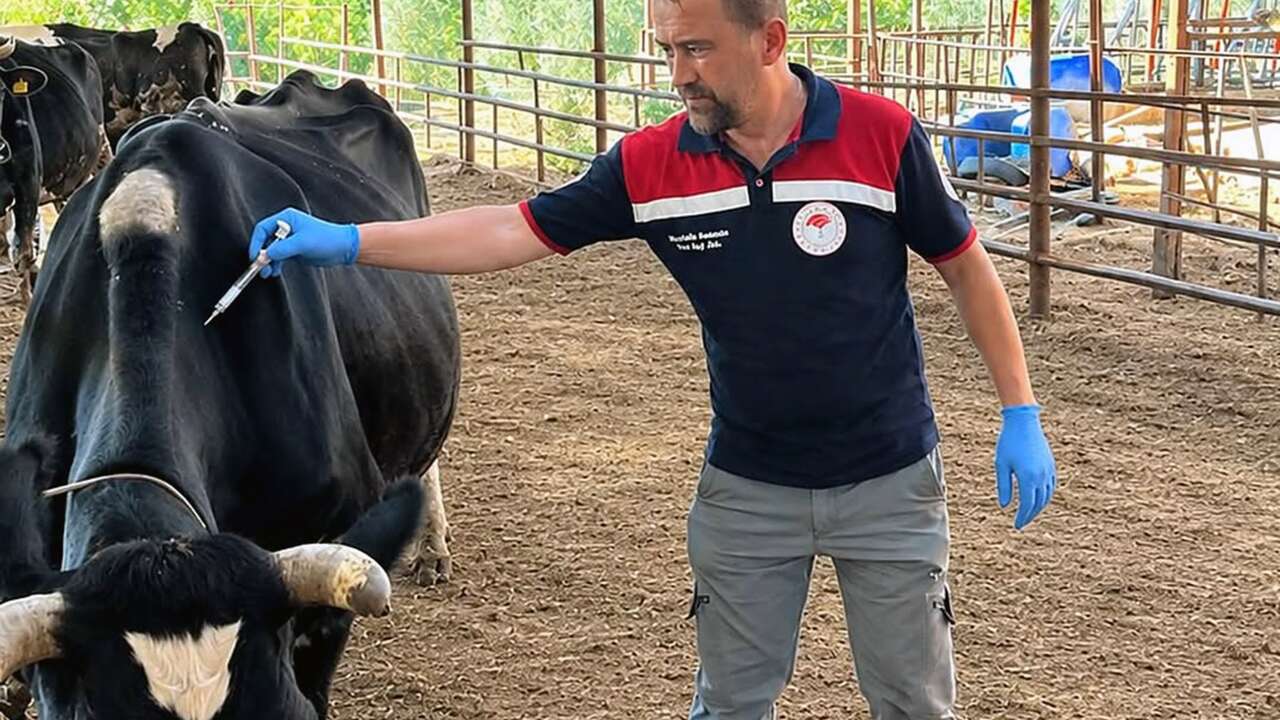 Muğla’da Hayvancılık İçin Önemli Adım
