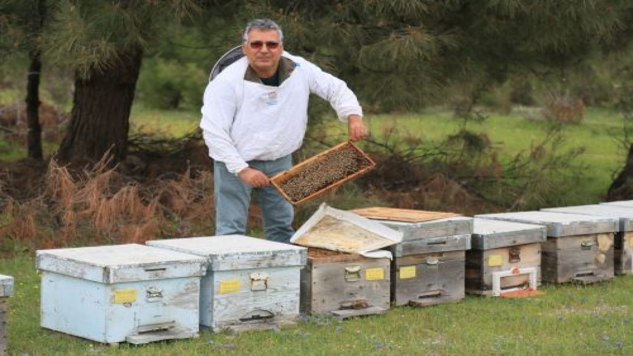 Varroa ile toplu mücadele dönemi başlıyor