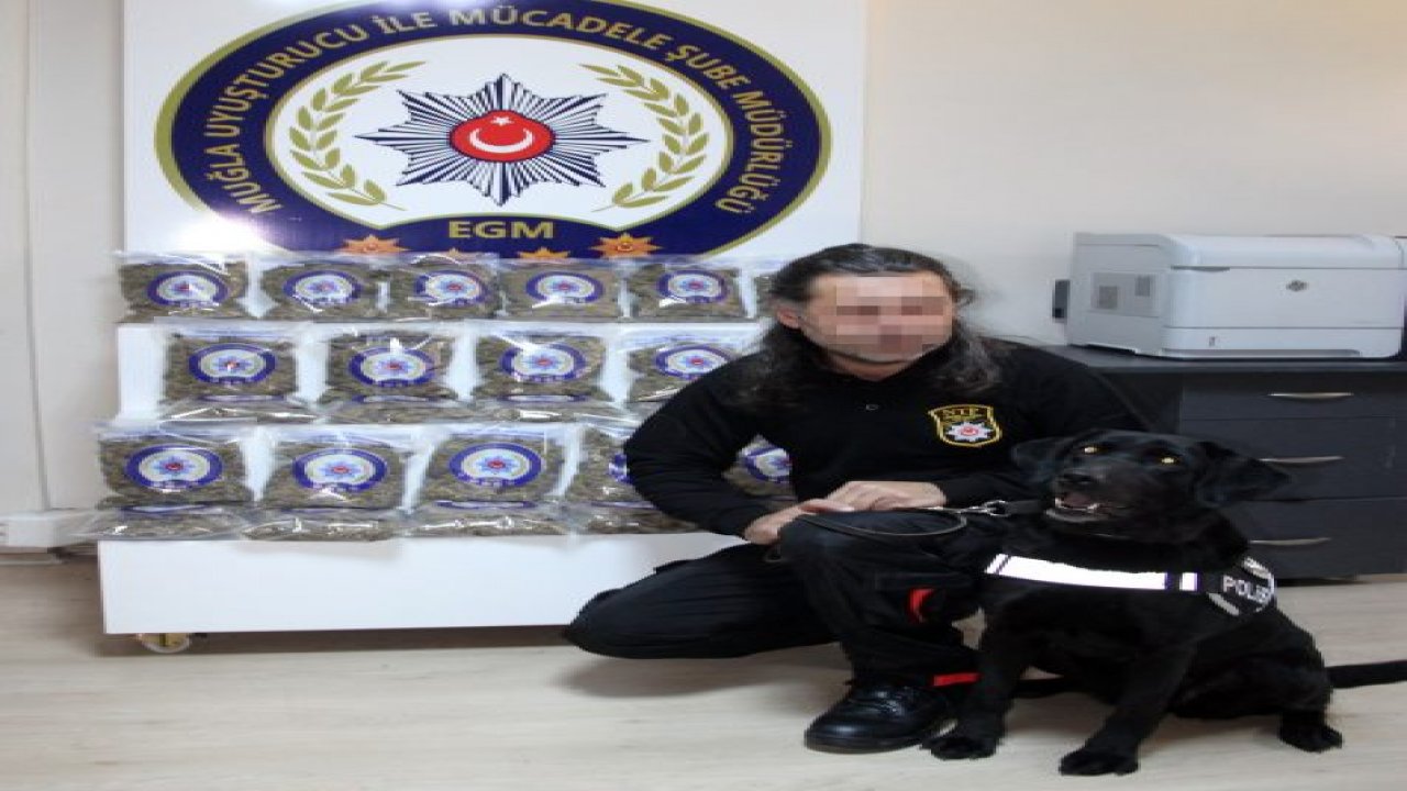 Muğla'da 10 kilo esrar ele geçirildi
