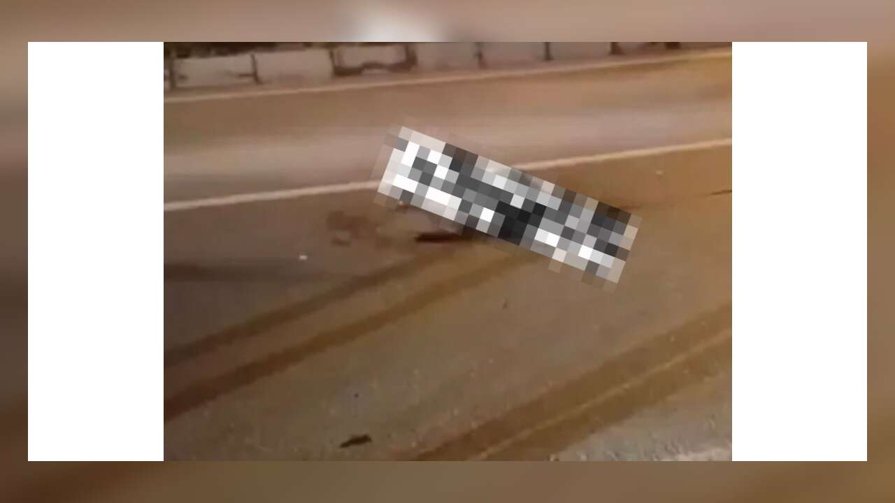 Muğla’da Yola Aniden Çıkan Domuz Kazaya Neden Oldu: Motosikletli Yaralandı