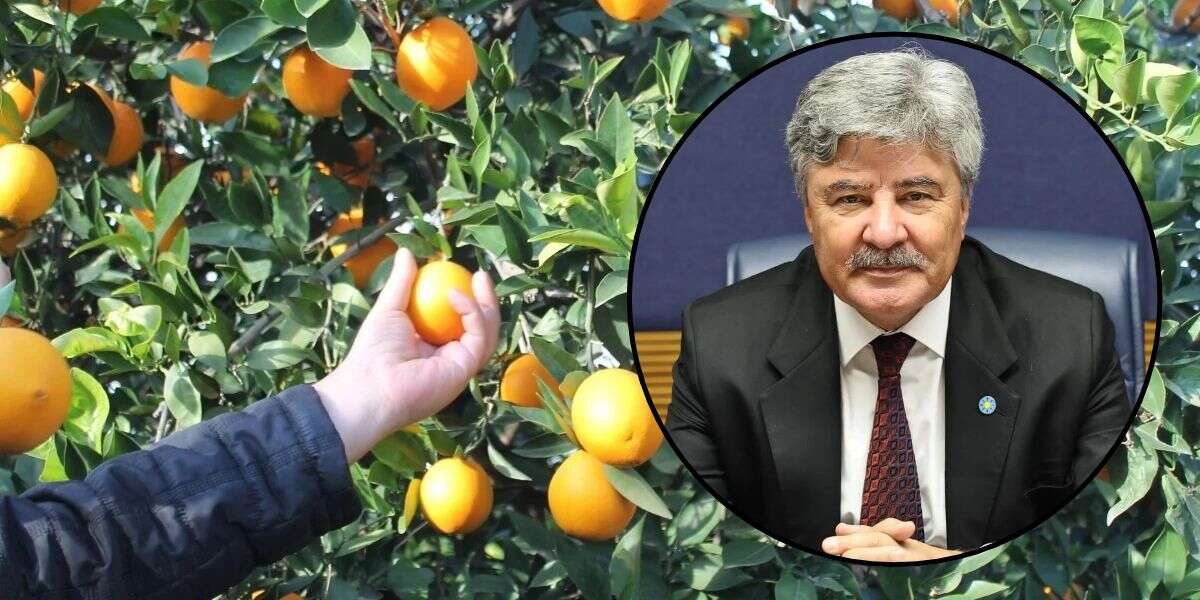 Metin Ergun’dan Limon Fiyatlarına Tepki: Tarlada 7 TL, Markette 51 TL