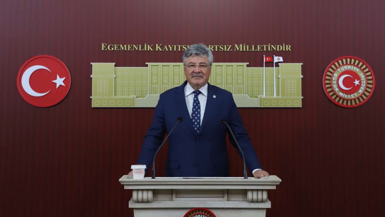 İYİ Partili Metin Ergun’dan Zeytin Üreticileri İçin Destek Çağrısı: Kilogram Başına 50 TL İstedi