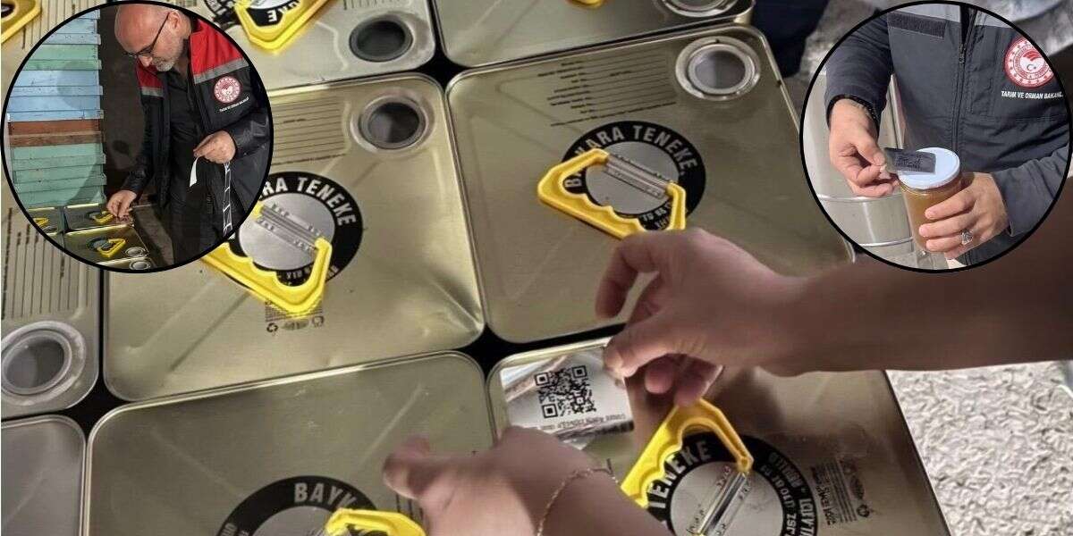 Muğla Çam Balı Dijital Takiple Korunacak